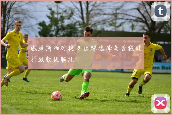 威廉斯面对捷克出球选择是否稳健扑救数据解读