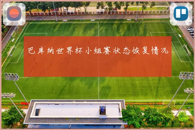 巴库纳世界杯小组赛状态恢复情况